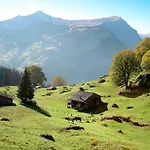 Ferienhaus Ahornen By Interhome