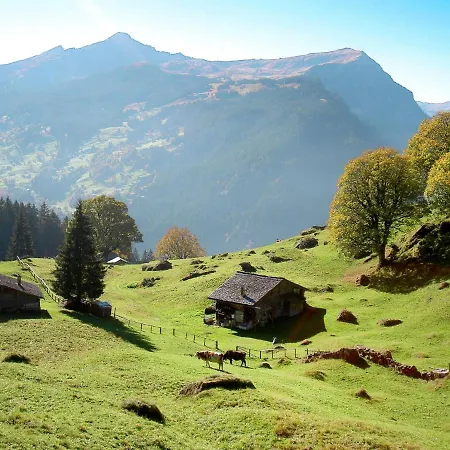Alpehytte Ahornen By Interhome