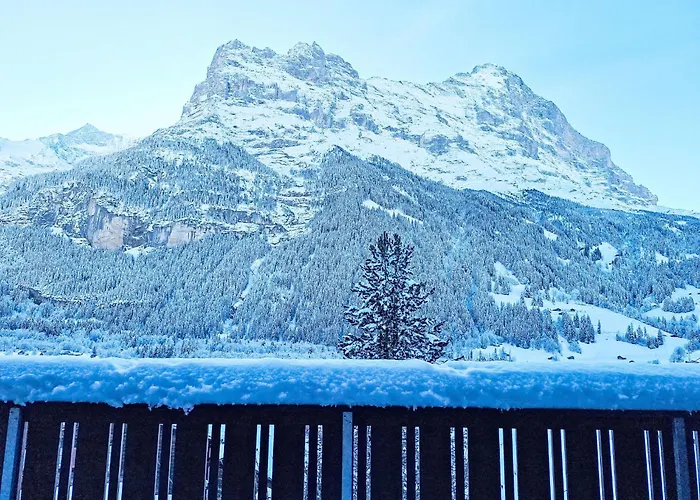 Ahornen By Interhome Grindelwald